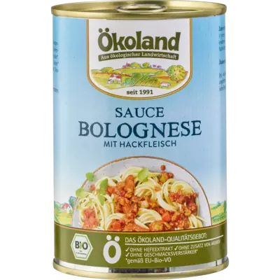 sauce-bolognese-dn.png